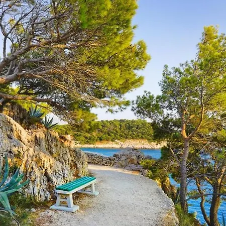 Διαμέρισμα Ana 2